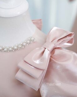 Đầm Tiểu Thư Hồng Pastel Tay Phồng 11 Đầm Tiểu Thư Lưng Nơ Hồng