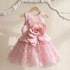 Đầm Công Chúa Butterfly Rose 8 718014421 1389014093338005 6429253260277275931 n