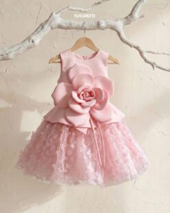 Đầm Công Chúa Butterfly Rose